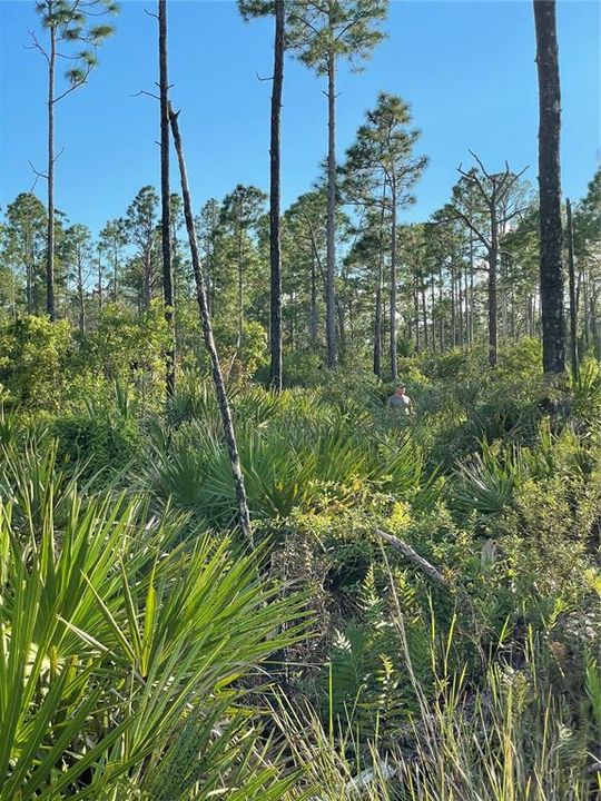 Недавно продано: $10,000 (0.63 acres)