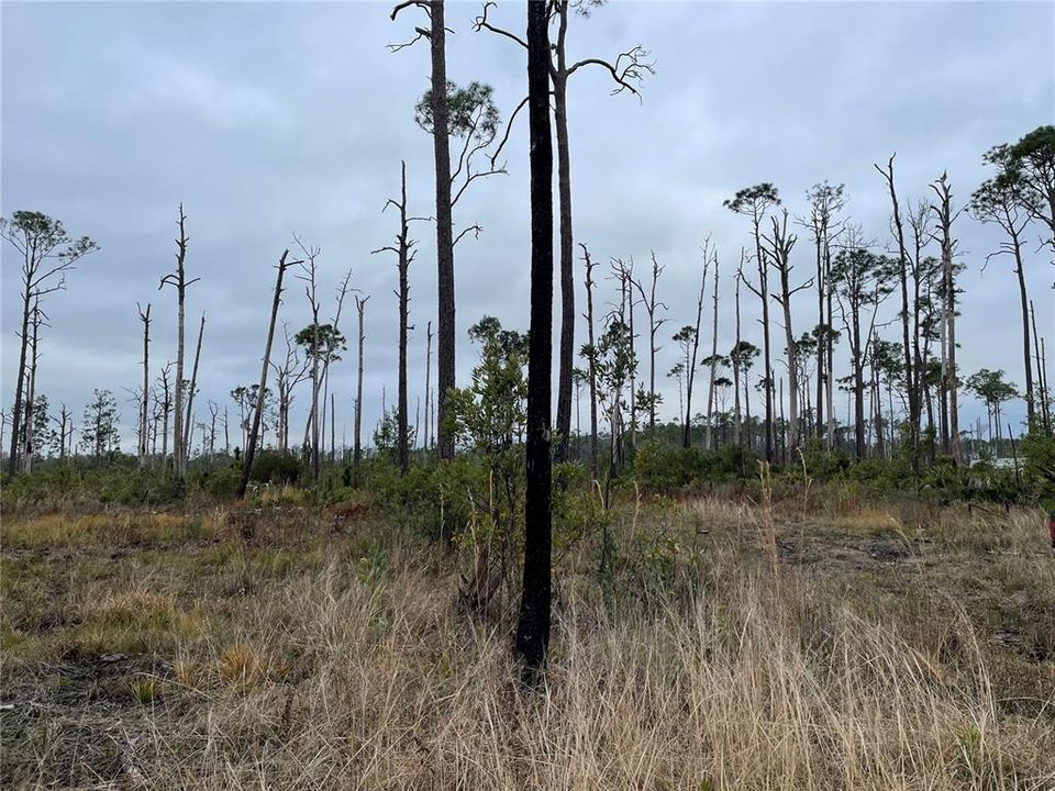 Recently Sold: $7,500 (0.63 acres)