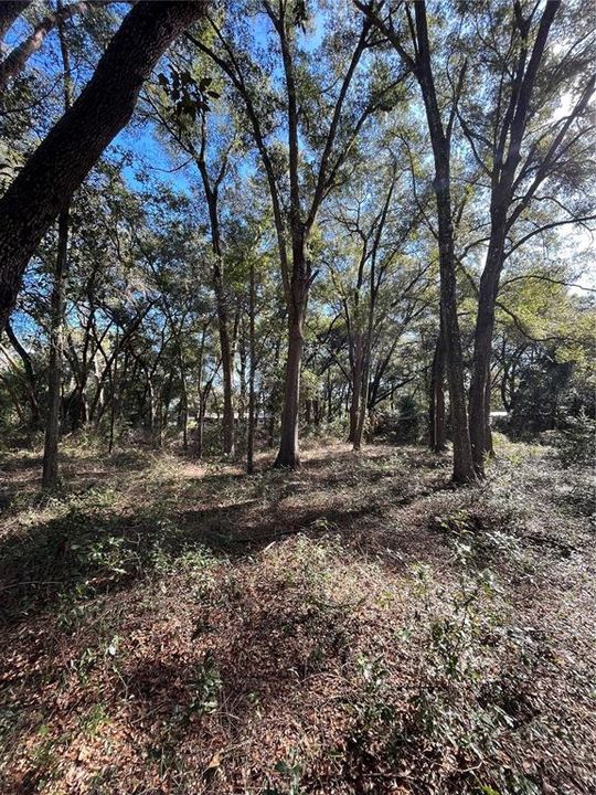 Recently Sold: $45,000 (1.07 acres)