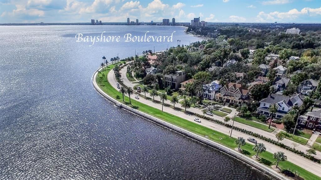 WALK THE BEAUTIFUL BAYSHORE