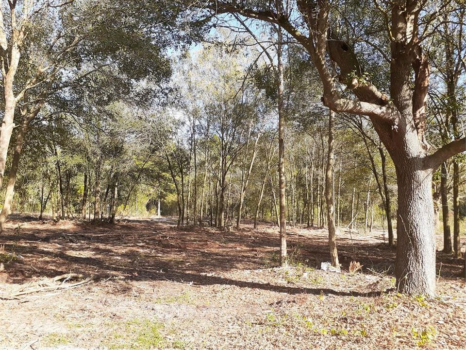 Vendido Recientemente: $43,900 (0.92 acres)