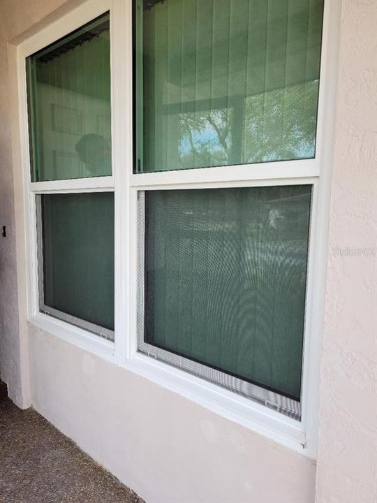 Hurricane proof windows