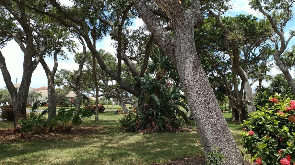 For Rent: $2,500 (1 beds, 1 baths, 678 Square Feet)