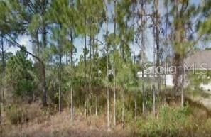 Recently Sold: $45,000 (0.23 acres)