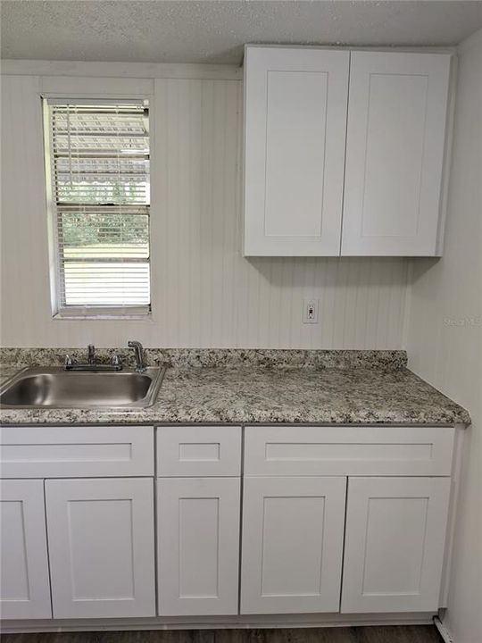 Kitchen Sink Area