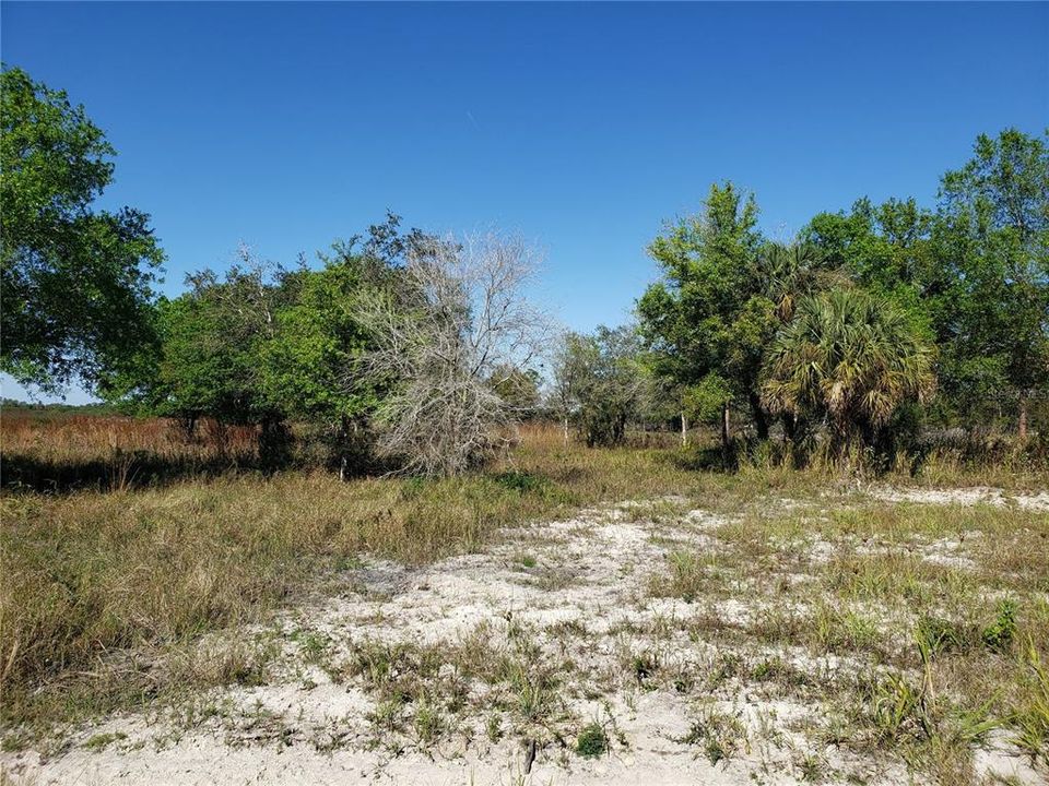 Vendido Recientemente: $225,000 (5.00 acres)