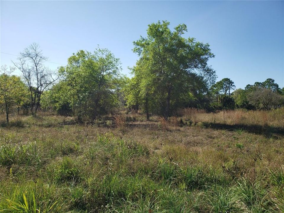 Vendido Recientemente: $225,000 (5.00 acres)