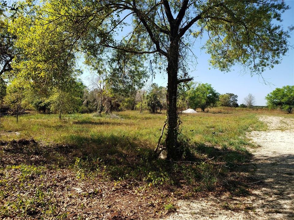 Vendido Recientemente: $225,000 (5.00 acres)