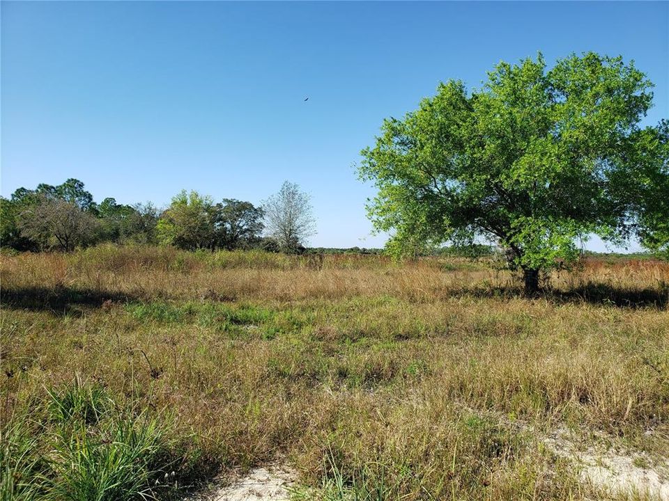 Recently Sold: $225,000 (5.00 acres)