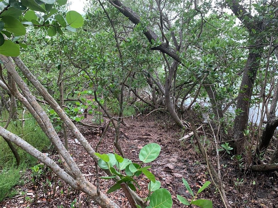 En Venta: $3,200,000 (5.00 acres)