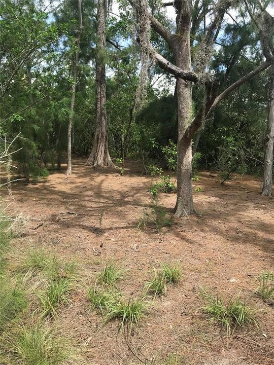 En Venta: $3,200,000 (5.00 acres)