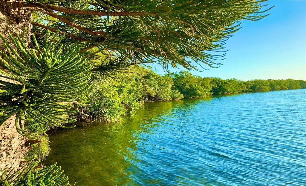 En Venta: $3,200,000 (5.00 acres)