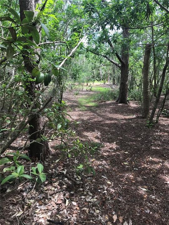 En Venta: $3,200,000 (5.00 acres)