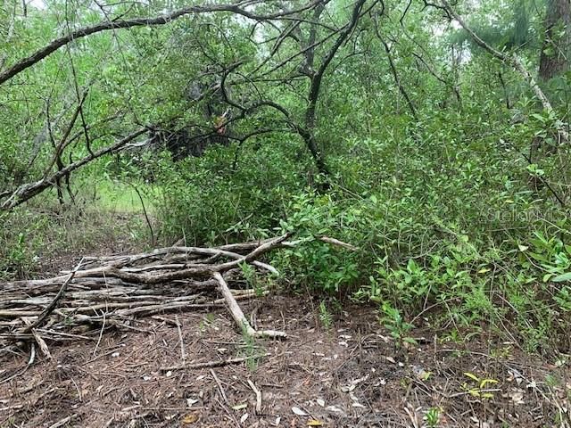 En Venta: $3,200,000 (5.00 acres)