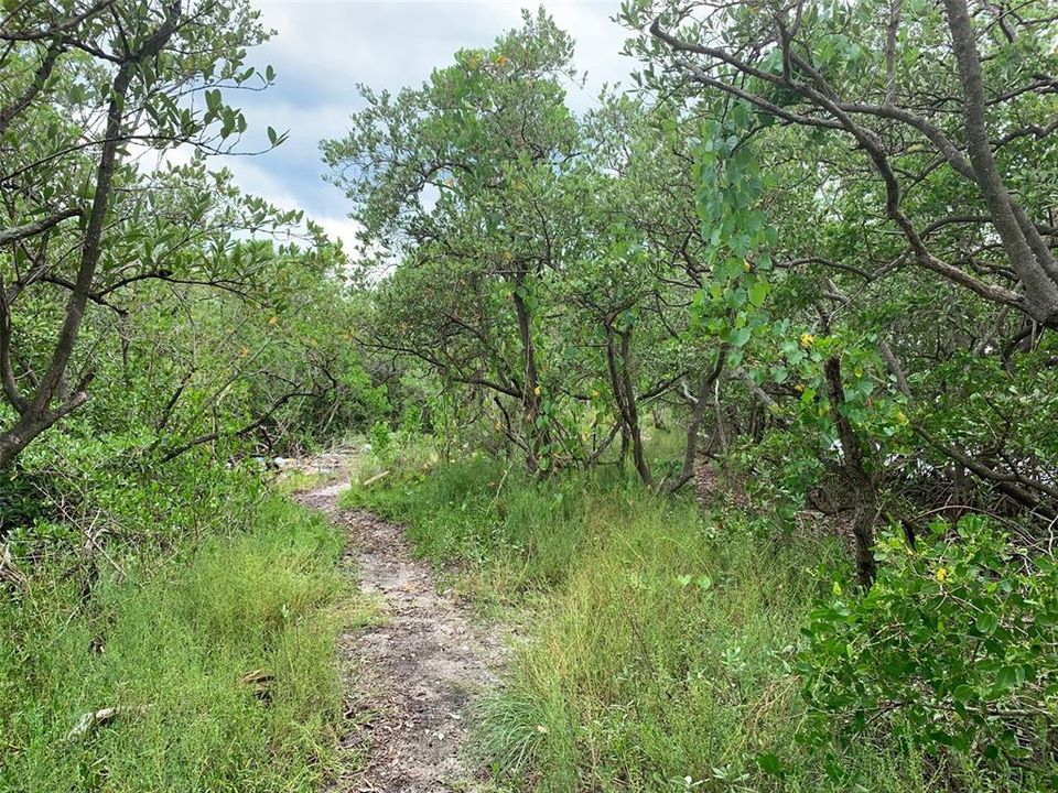 For Sale: $3,200,000 (5.00 acres)