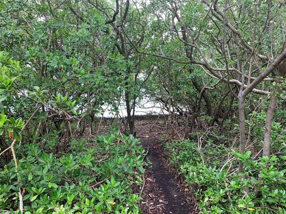 En Venta: $3,200,000 (5.00 acres)