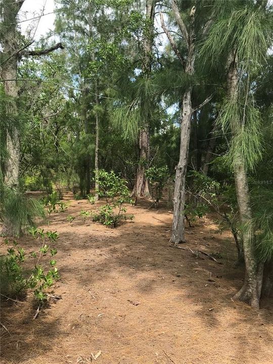 En Venta: $3,200,000 (5.00 acres)