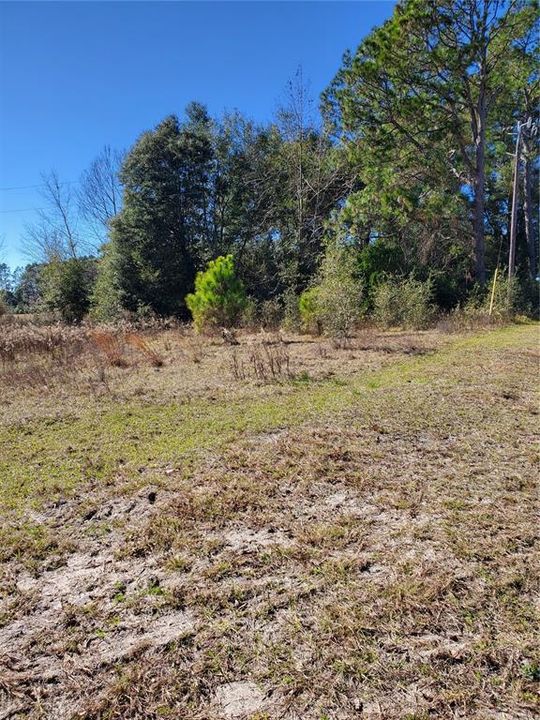Recently Sold: $40,000 (4.00 acres)