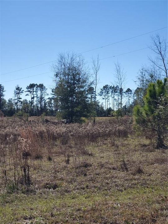 Recently Sold: $40,000 (4.00 acres)