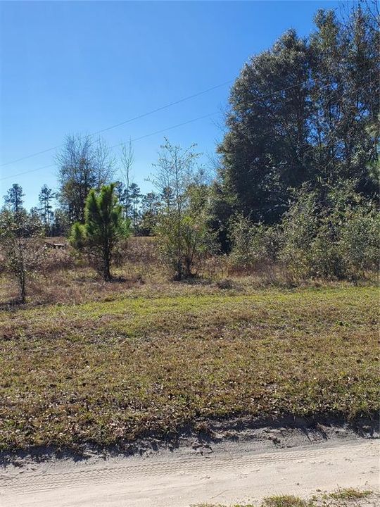 Recently Sold: $40,000 (4.00 acres)