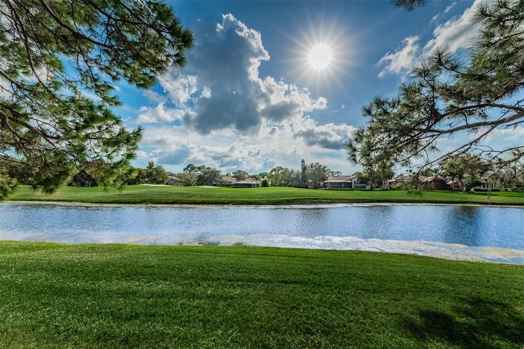 Great backyard view of the pond and golf course