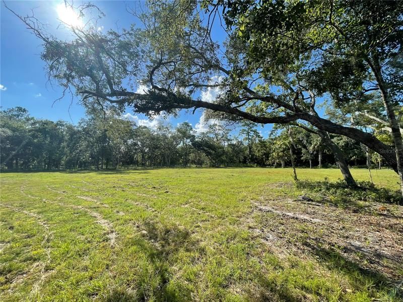 Recently Sold: $66,900 (1.96 acres)