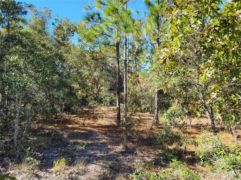 Recently Sold: $70,000 (0.59 acres)