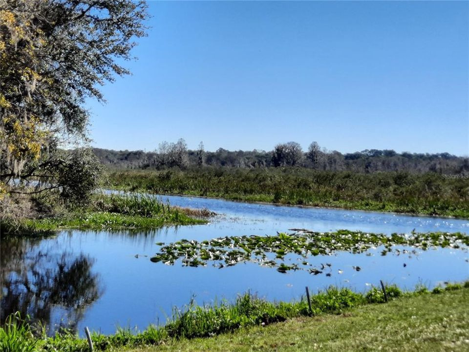 Canal that extends to the Rainbow River.