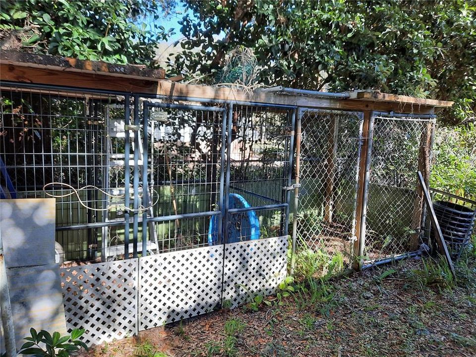 Kennels with electric and water