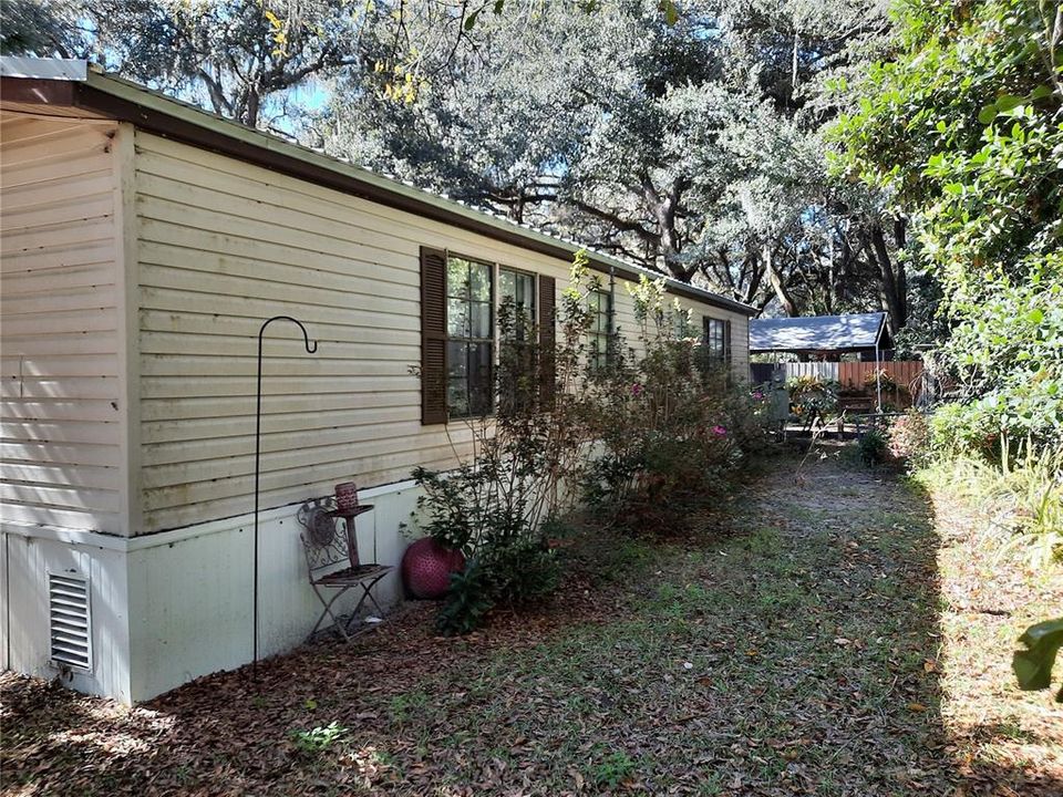 Rear Of Home-flowering azaleas make this pretty and tranquil.