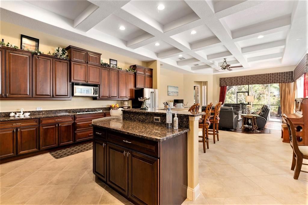 BIG KITCHEN & FAMILY ROOM WITH DISTINCTIVE COFFERED CEILING W/RECESSED LIGHTING