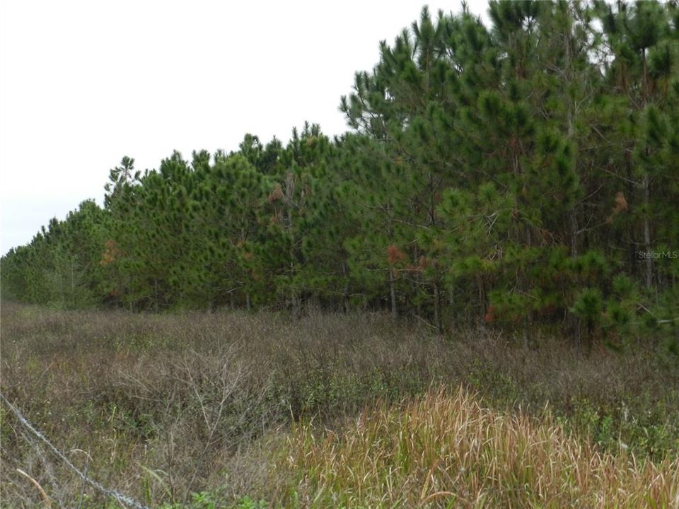 Recently Sold: $2,689,100 (18.81 acres)