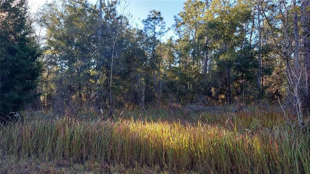 Recently Sold: $60,000 (1.60 acres)