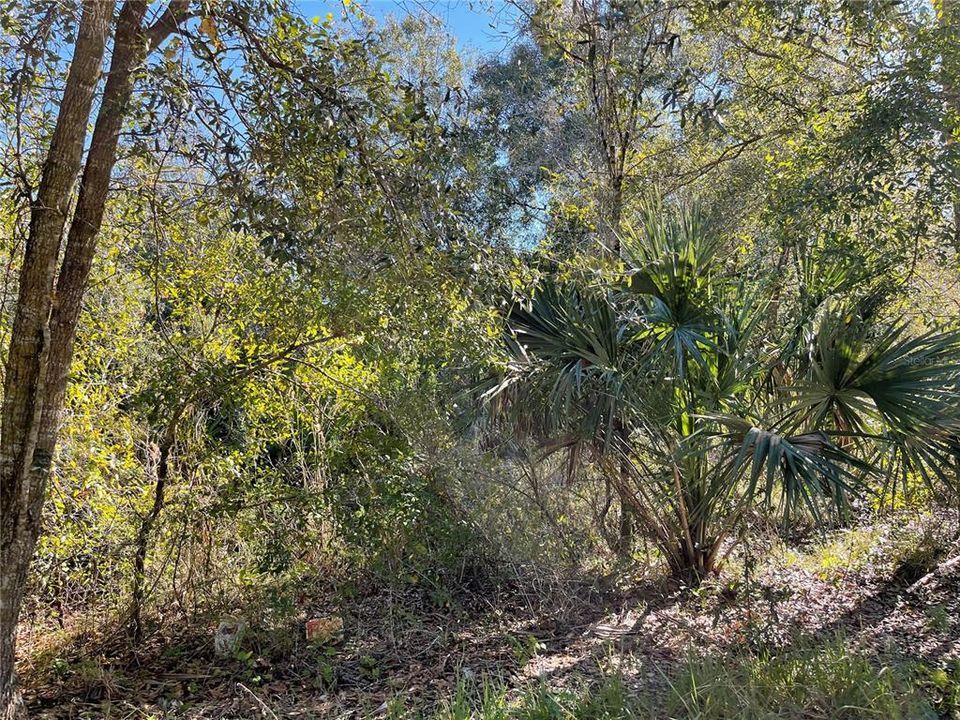 Vendido Recientemente: $35,000 (0.90 acres)
