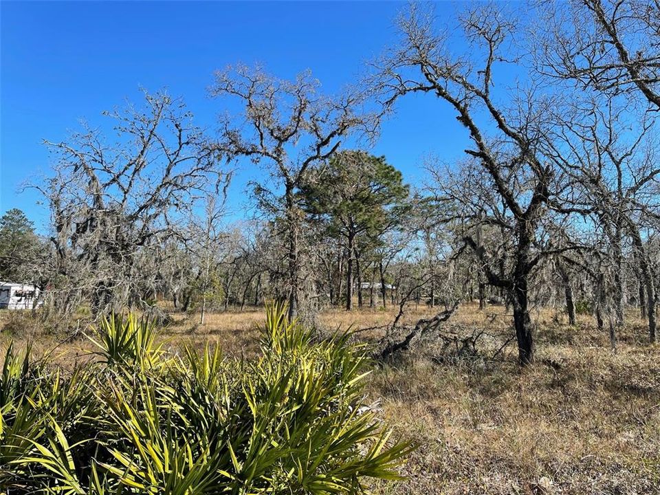 Vendido Recientemente: $49,900 (1.15 acres)