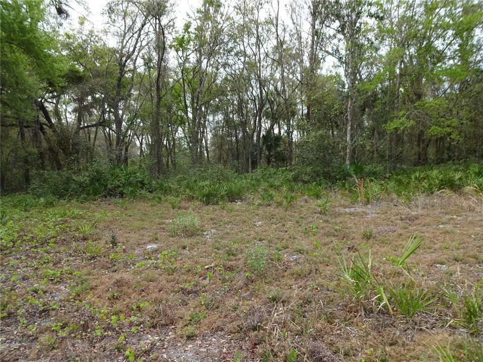 Recently Sold: $34,900 (4.50 acres)