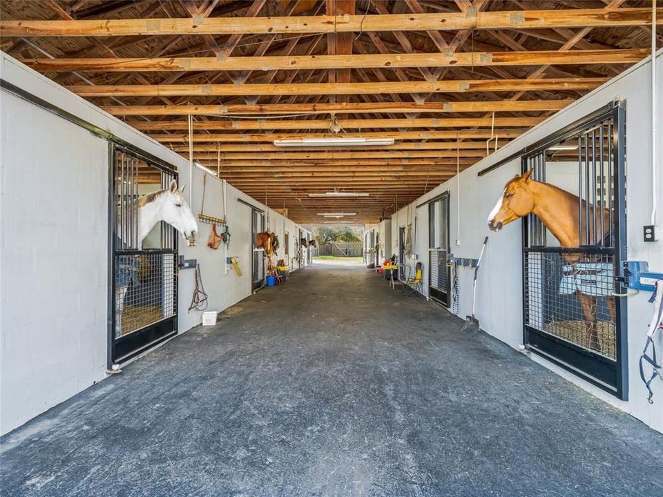 Main barn with Extra wide isle & stalls