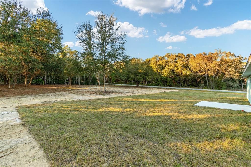 View of Backyard