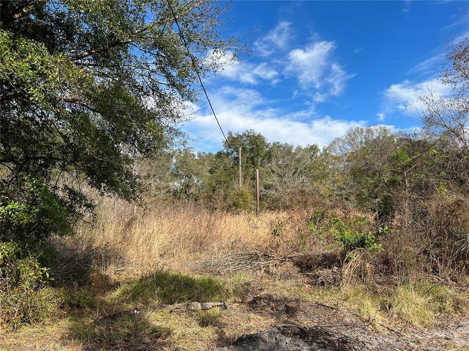 Recently Sold: $99,000 (1.25 acres)