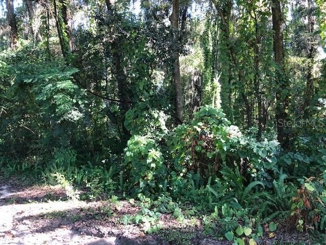 Recently Sold: $27,000 (1.68 acres)