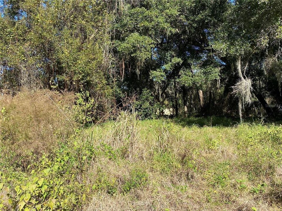 Vendido Recientemente: $89,987 (0.46 acres)