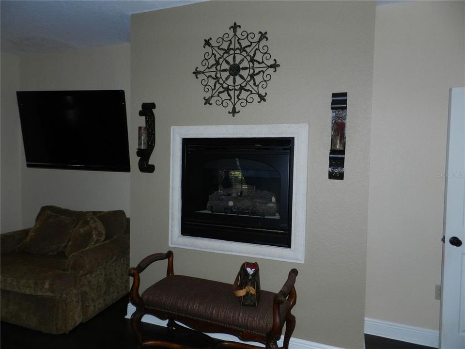 Fireplace in master bedroom.