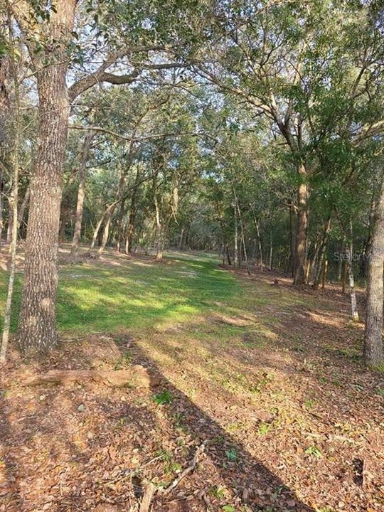 Recently Sold: $118,000 (1.63 acres)