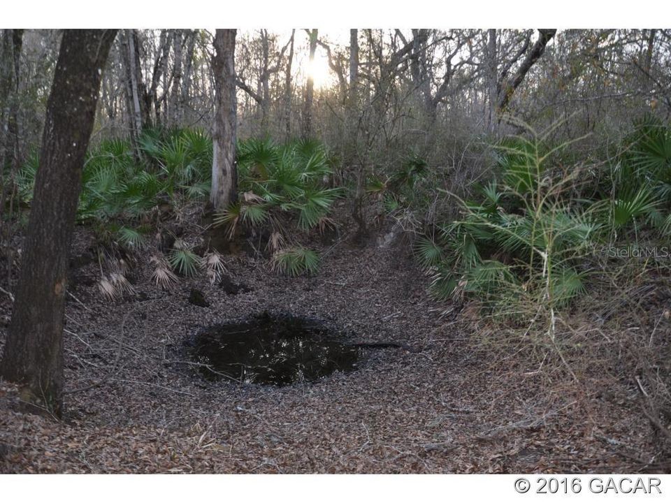 Недавно продано: $180,000 (30.00 acres)