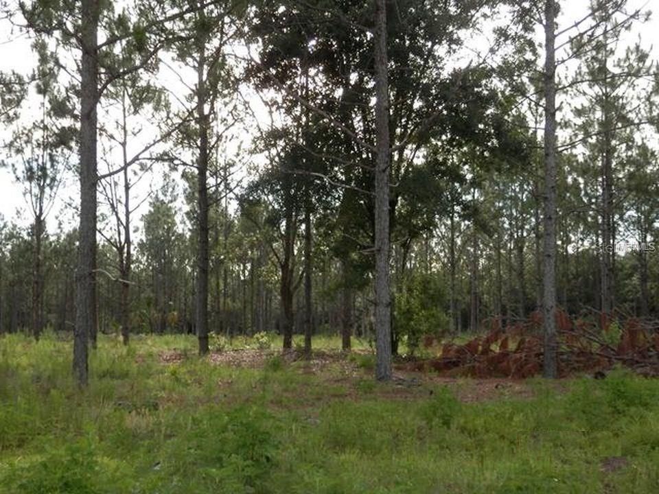 Vendido Recientemente: $5,678 (0.23 acres)