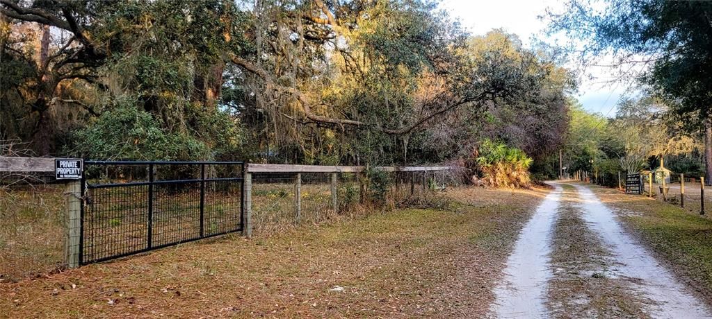 Country Dead End Road in Front of Property