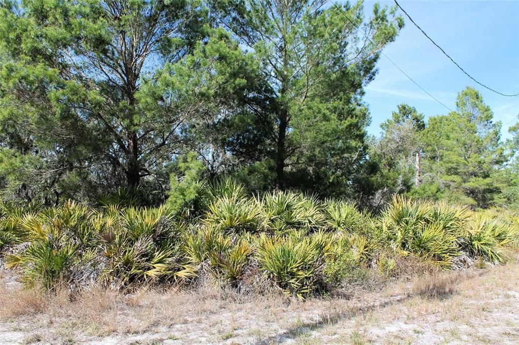 Recently Sold: $45,000 (0.99 acres)