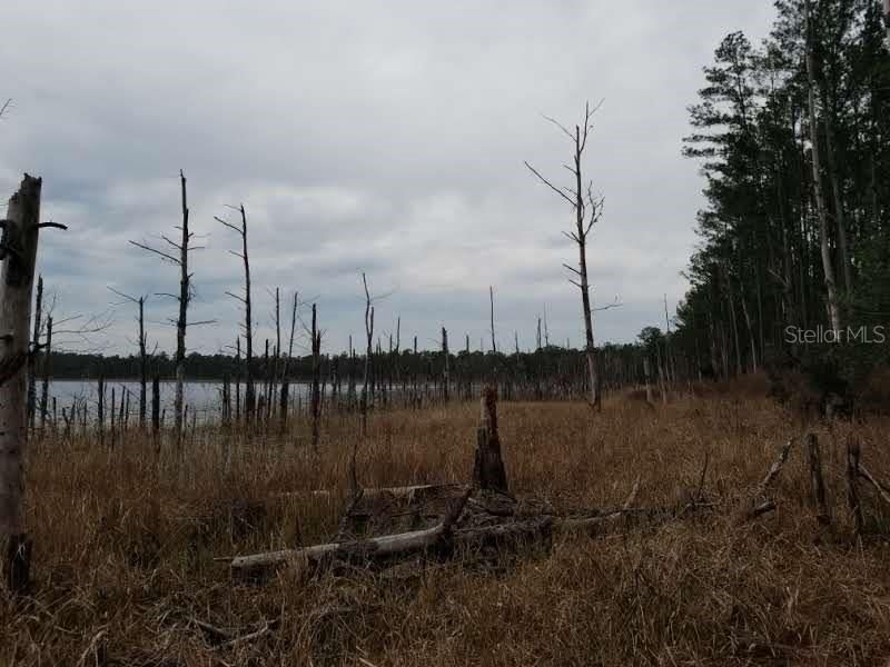 Недавно продано: $389,500 (20.00 acres)