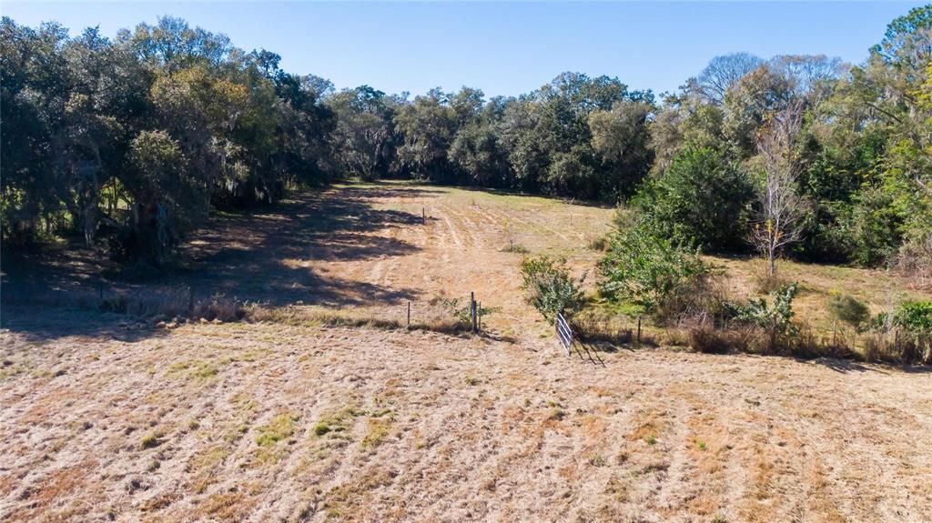 Cleared land with mature oaks.