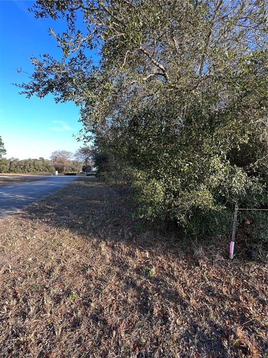 Vendido Recientemente: $14,000 (0.31 acres)